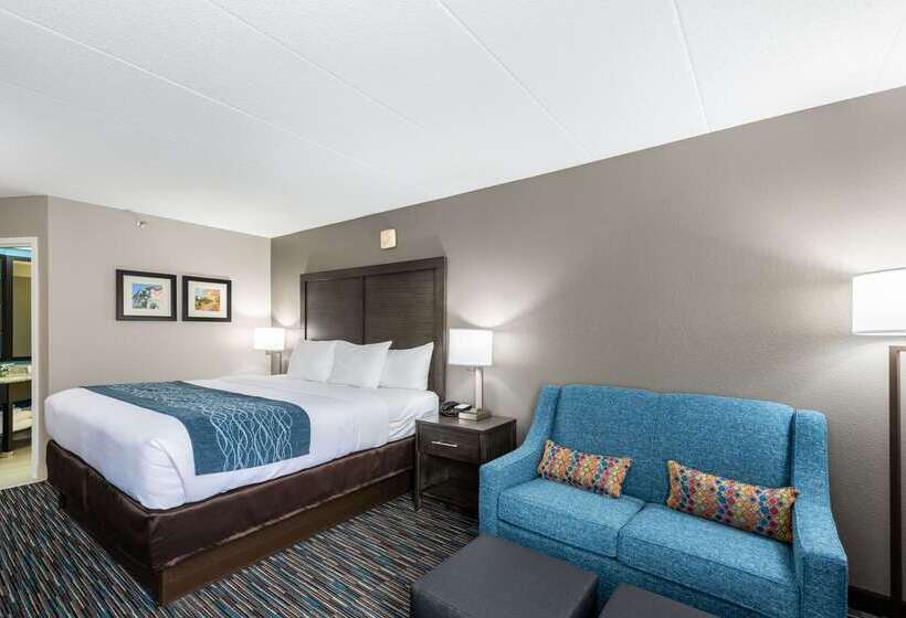 בית מלון כפרי Comfort Inn Chicago Schaumburg O Hare Airport