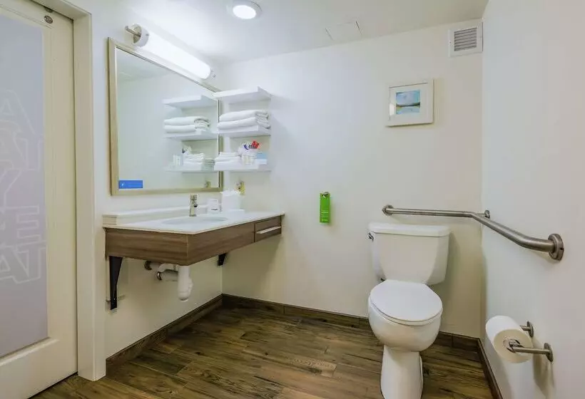 Отель Hampton Inn Tampainternational Airport/westshore