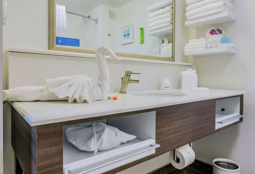 Отель Hampton Inn Tampainternational Airport/westshore