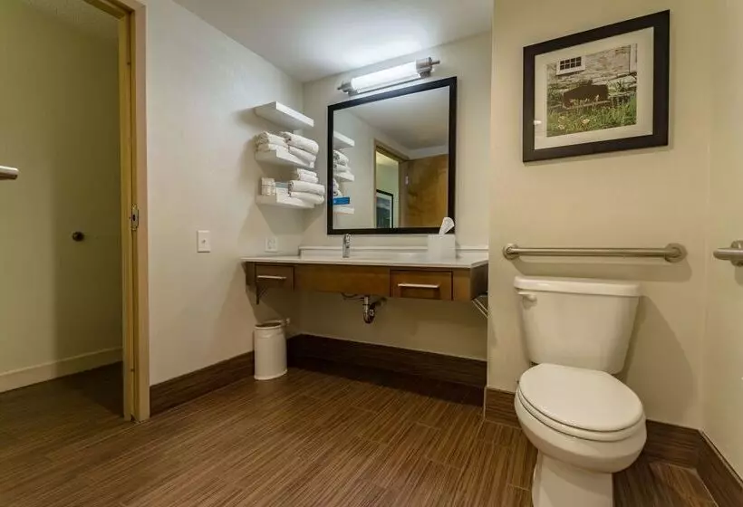 酒店 Hampton Inn Winchester University/mall Area