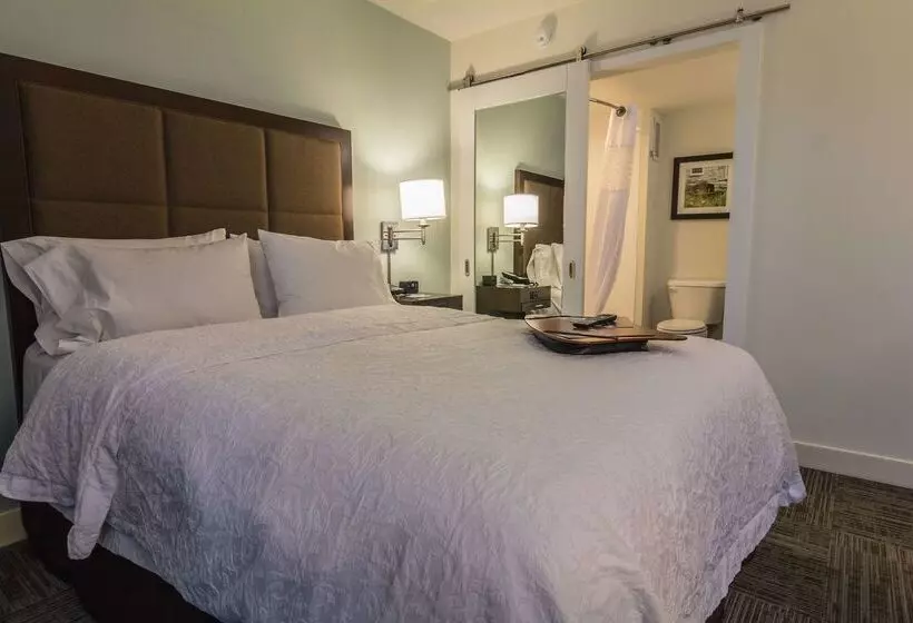 酒店 Hampton Inn Winchester University/mall Area