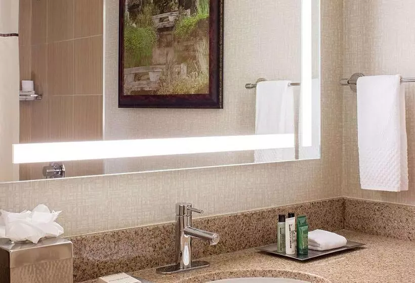 ホテル Hilton Houston Galleria Area