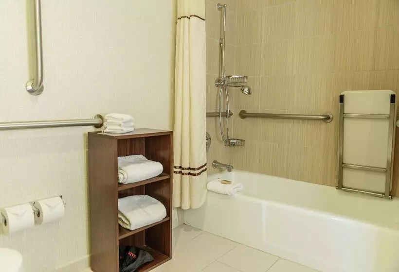 ホテル Hilton Houston Galleria Area