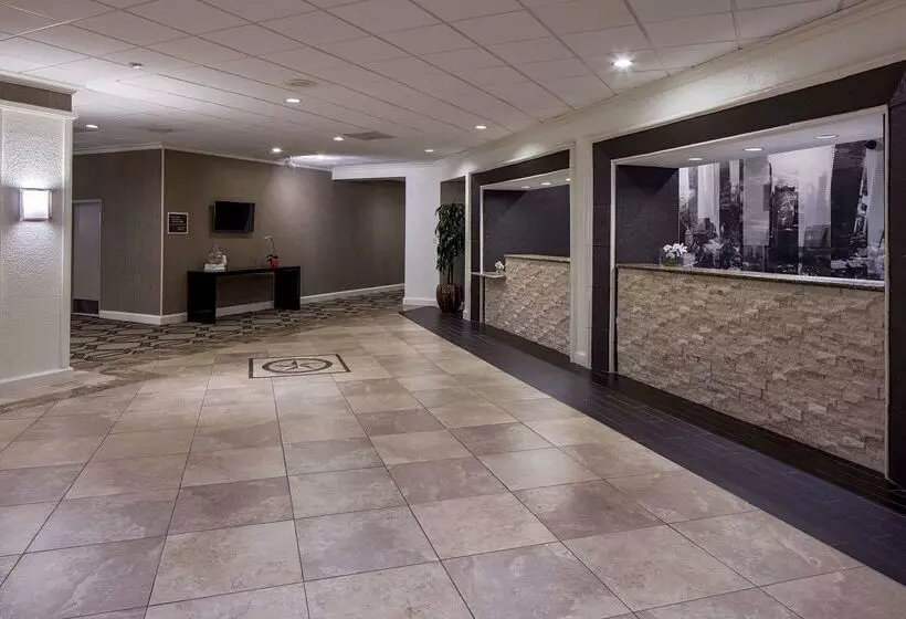 ホテル Hilton Houston Galleria Area