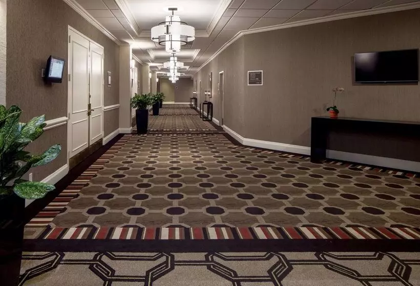 ホテル Hilton Houston Galleria Area