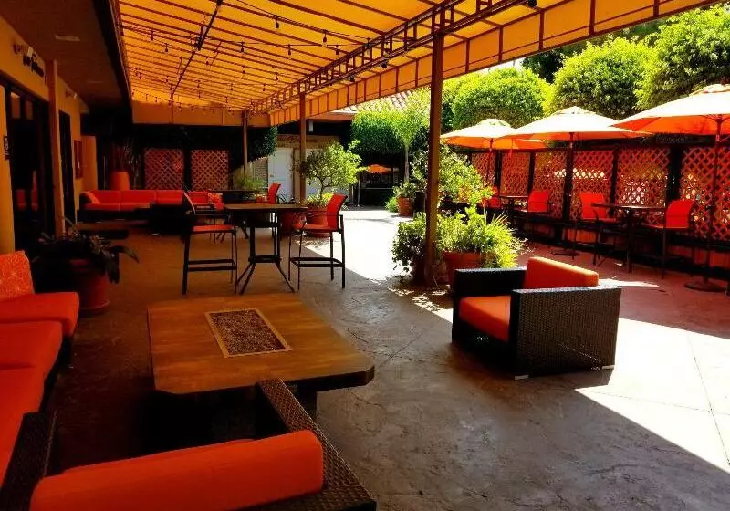 Отель Palm Garden