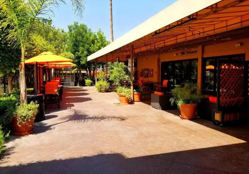 Отель Palm Garden