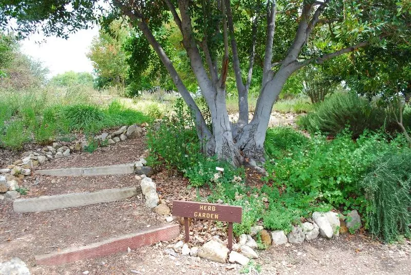 Отель Palm Garden