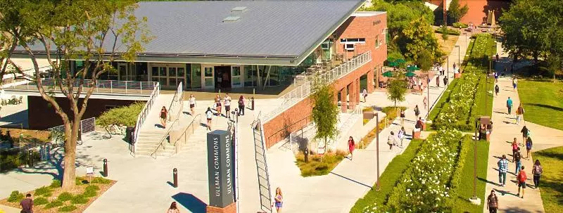 Отель Palm Garden