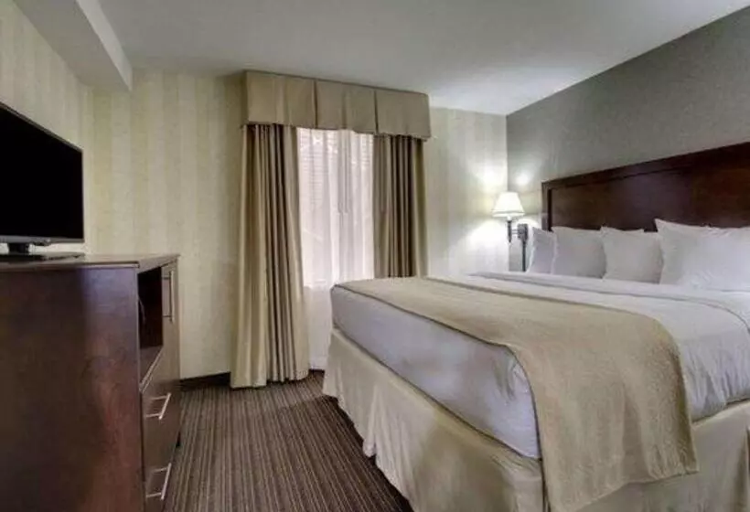 The Atrium Hotel On Third