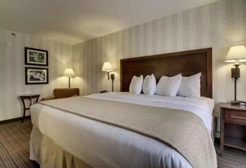 The Atrium Hotel On Third