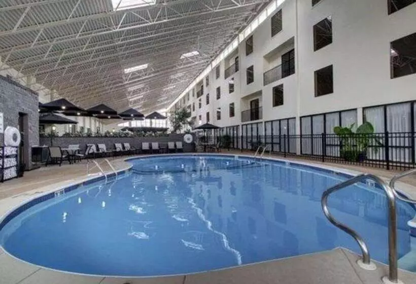 The Atrium Hotel On Third