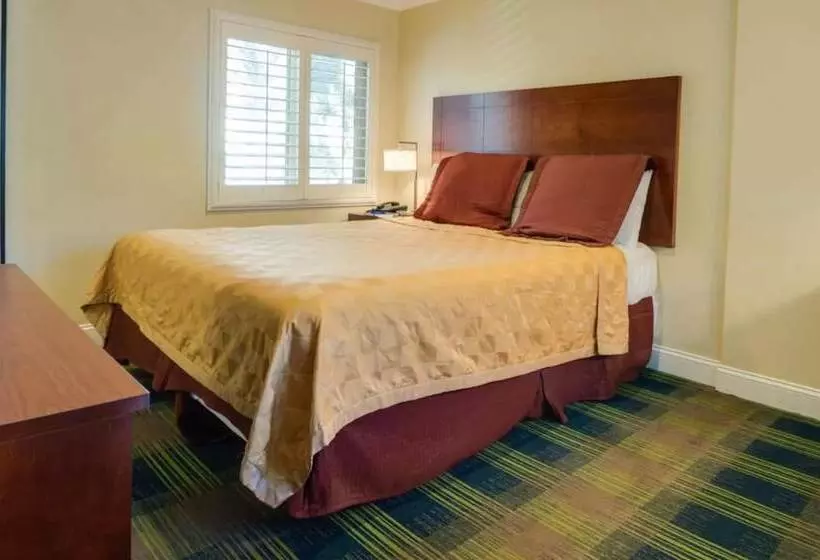 فندق Travelodge By Wyndham By Fisherman's Wharf