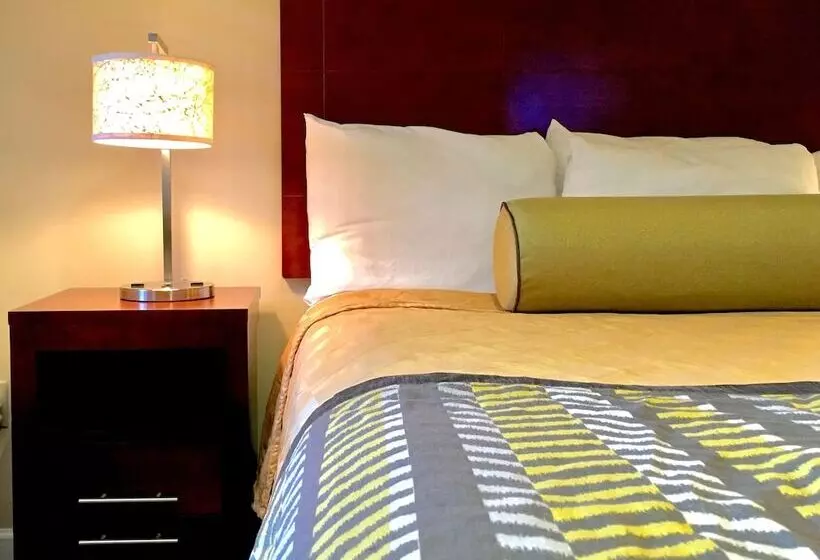 فندق Travelodge By Wyndham By Fisherman's Wharf