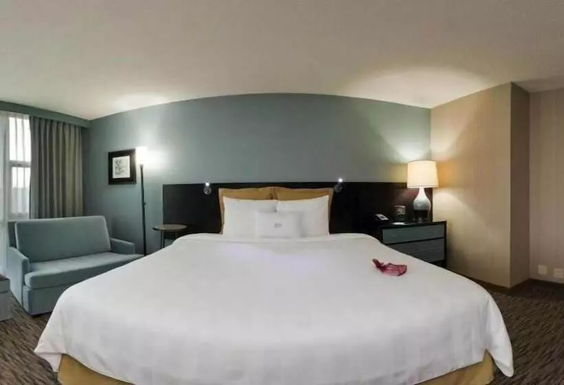 Crowne Plaza Hotel Glen Ellyn/lombard, An Ihg