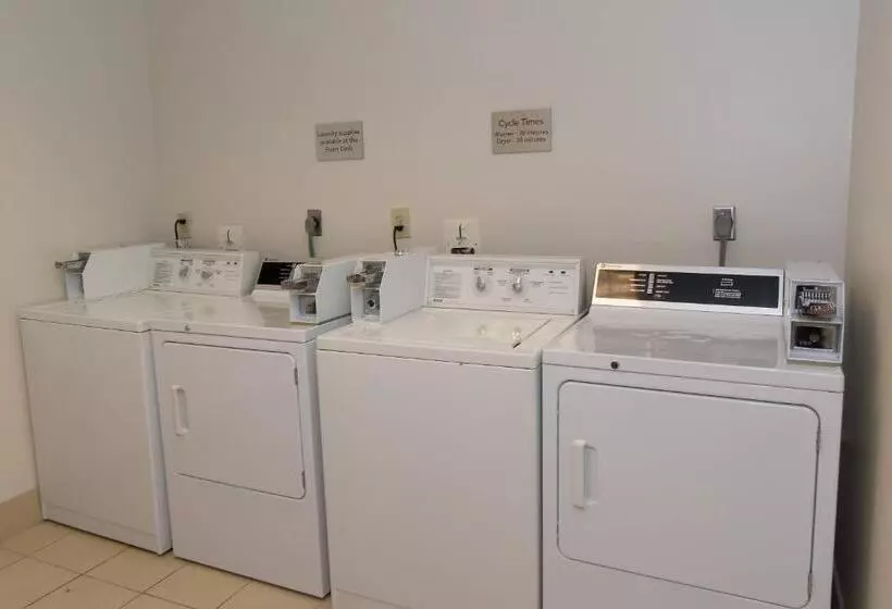 בית מלון כפרי Courtyard Columbia Downtown At Usc