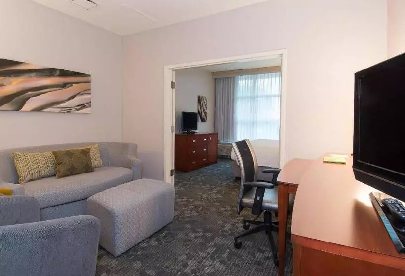 בית מלון כפרי Courtyard Columbia Downtown At Usc