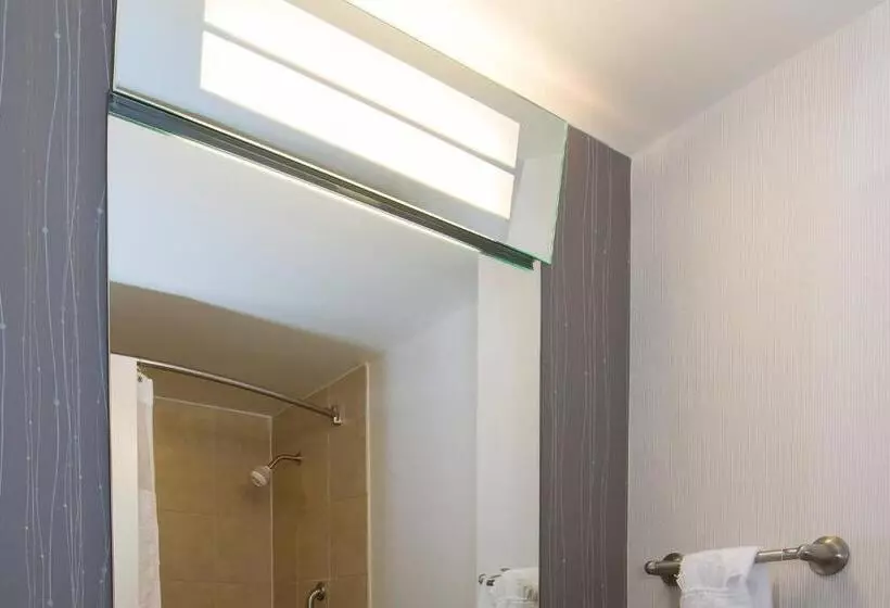 בית מלון כפרי Courtyard Columbia Downtown At Usc