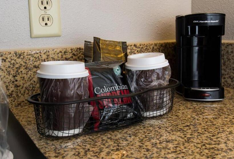 Szálloda Courtyard Columbia Downtown At Usc