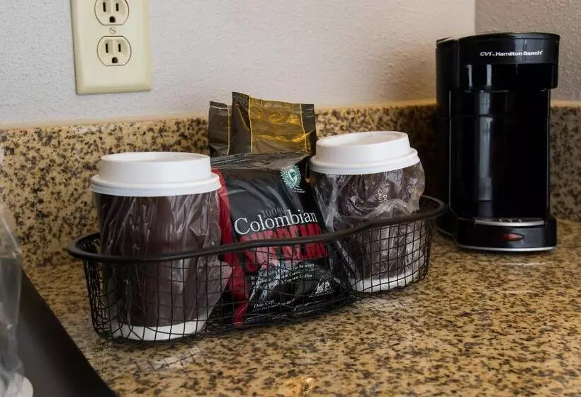 בית מלון כפרי Courtyard Columbia Downtown At Usc