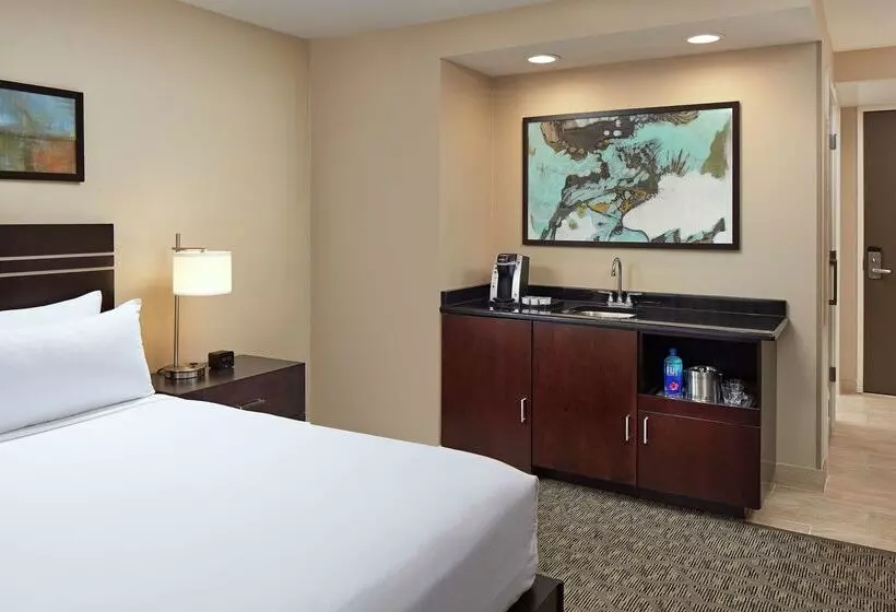 ホテル Hilton Houston Plaza/medical Center