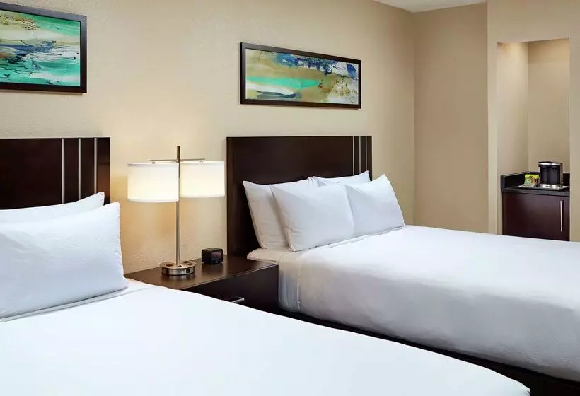 ホテル Hilton Houston Plaza/medical Center