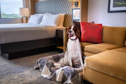 فندق Holiday Inn Charlottesville Monticello, An Ihg