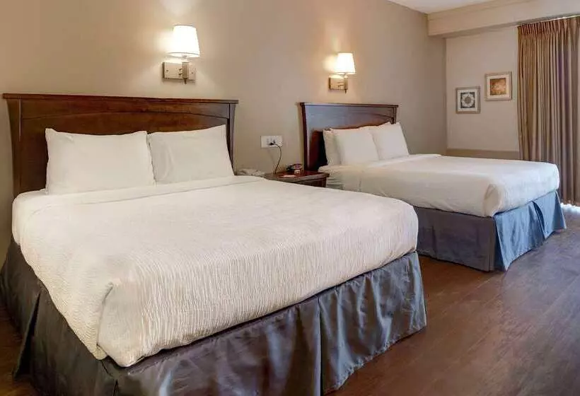 فندق Howard Johnson By Wyndham Amherst Hadley