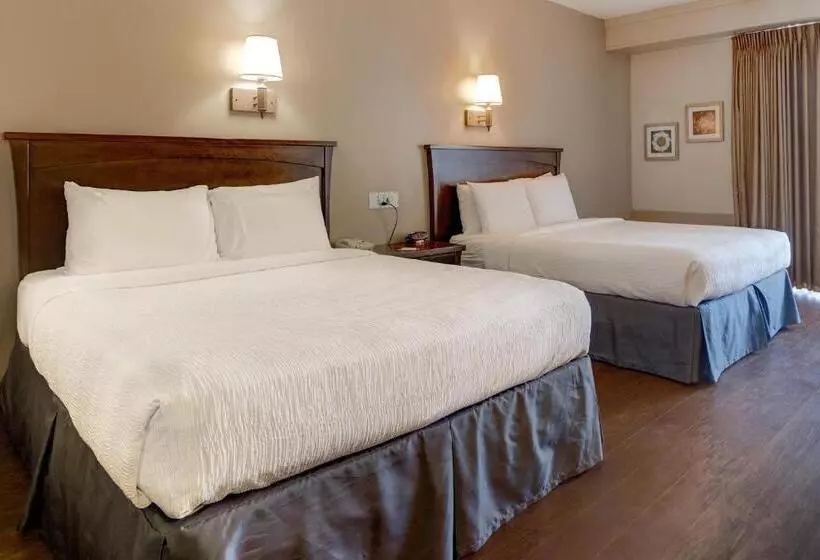 فندق Howard Johnson By Wyndham Amherst Hadley