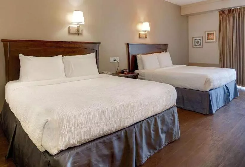 فندق Howard Johnson By Wyndham Amherst Hadley