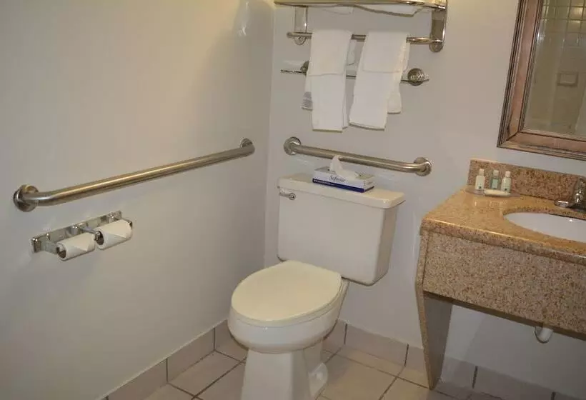 Hotel Quality Inn & Suites East Syracuse  Carrier Circle