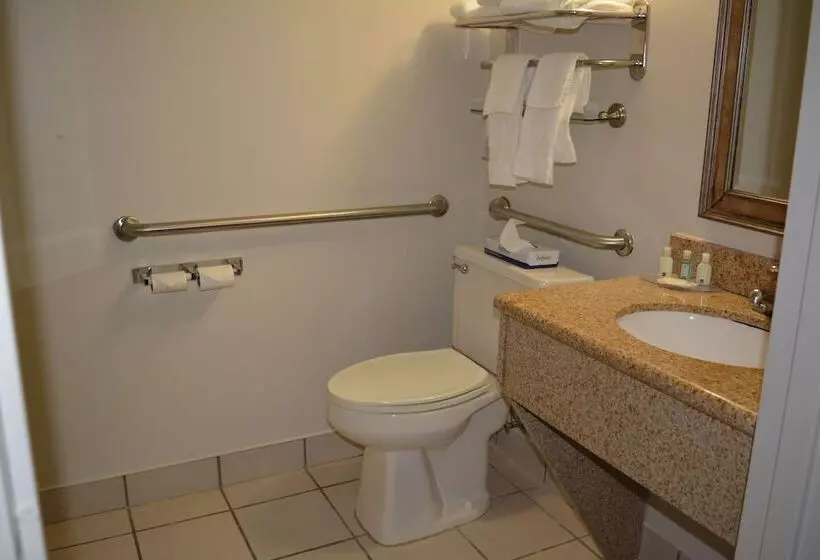 Hotel Quality Inn & Suites East Syracuse  Carrier Circle