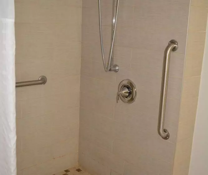 Hotel Quality Inn & Suites East Syracuse  Carrier Circle