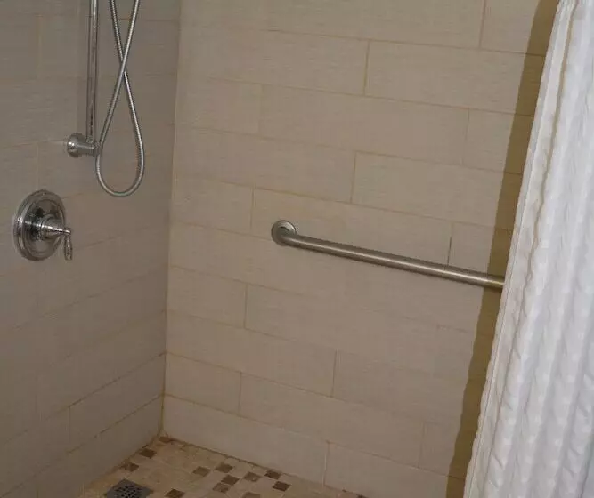 Hotel Quality Inn & Suites East Syracuse  Carrier Circle