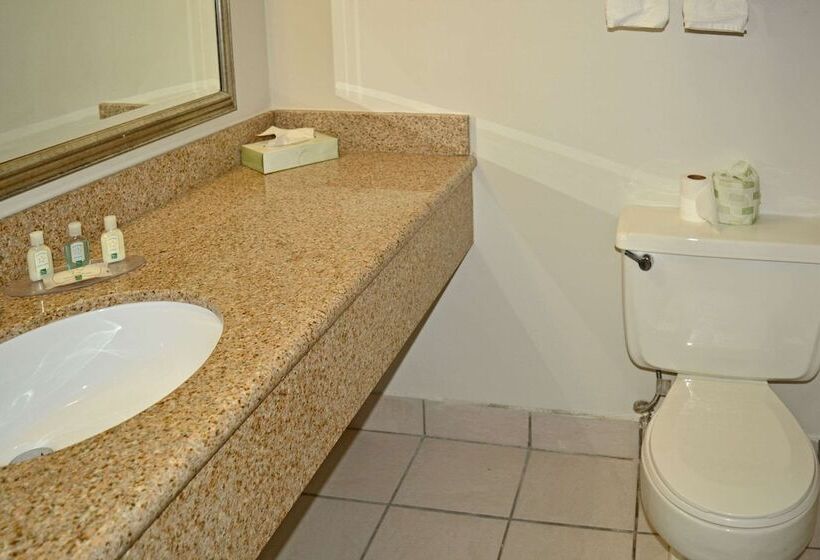 فندق Quality Inn & Suites East Syracuse  Carrier Circle