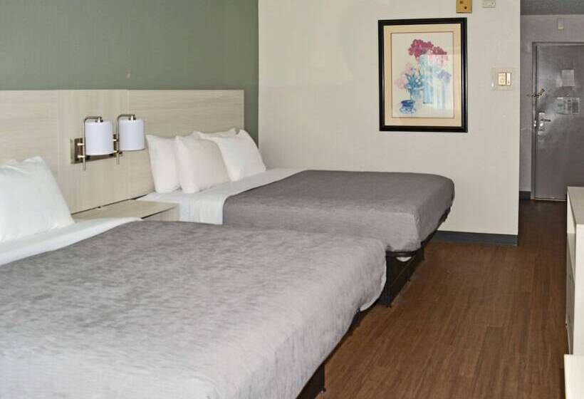 فندق Quality Inn & Suites East Syracuse  Carrier Circle