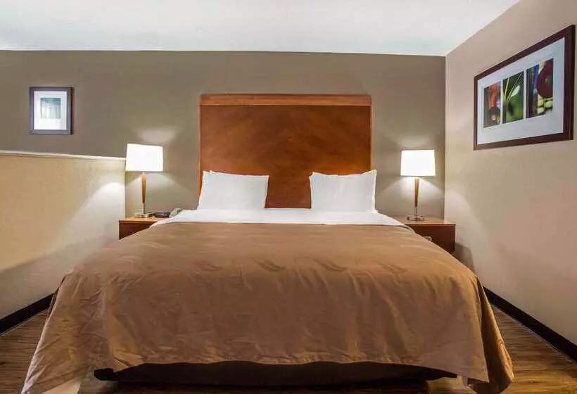 酒店 Quality Inn & Suites University Area