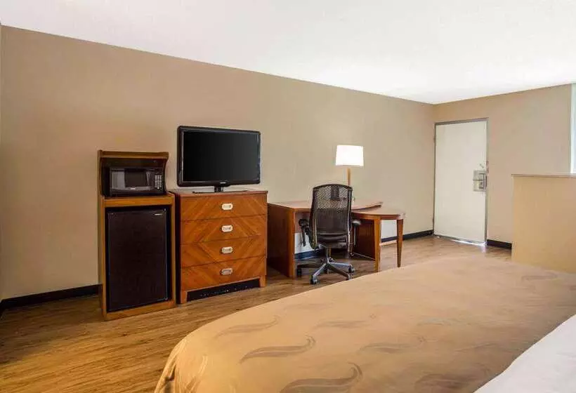 酒店 Quality Inn & Suites University Area