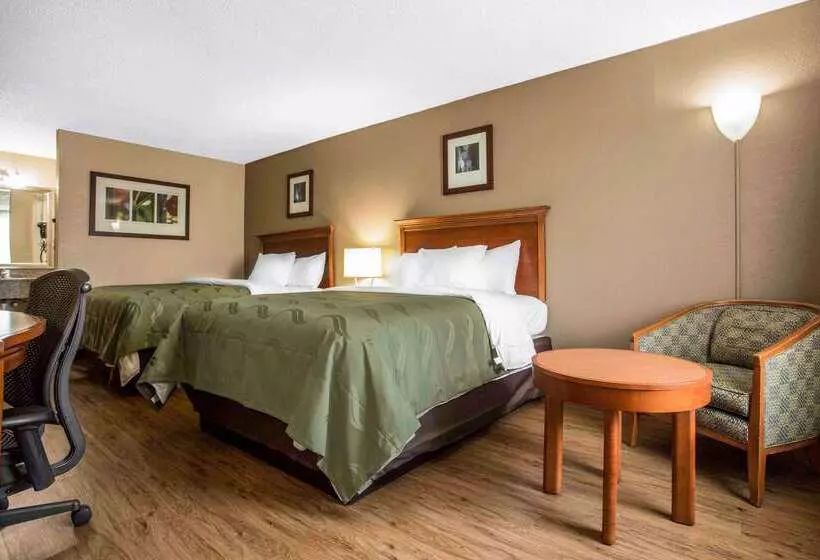 酒店 Quality Inn & Suites University Area