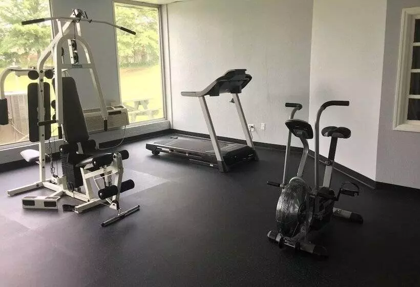 酒店 Quality Inn & Suites University Area