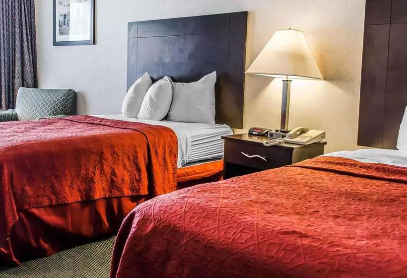 Отель Quality Inn & Suites