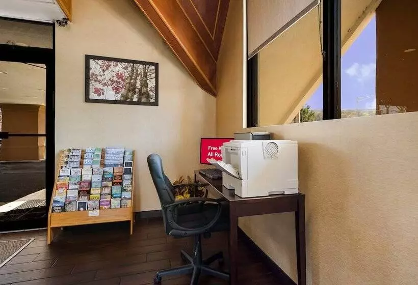 فندق Red Roof Inn And Suites Newark   University