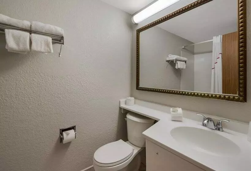 فندق Red Roof Inn And Suites Newark   University