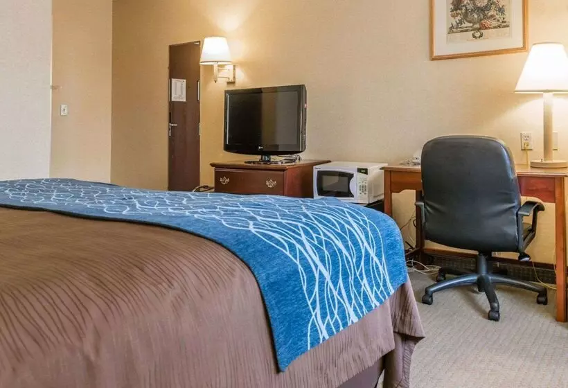 ホテル Rodeway Inn