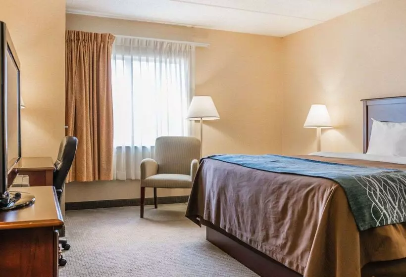 ホテル Rodeway Inn