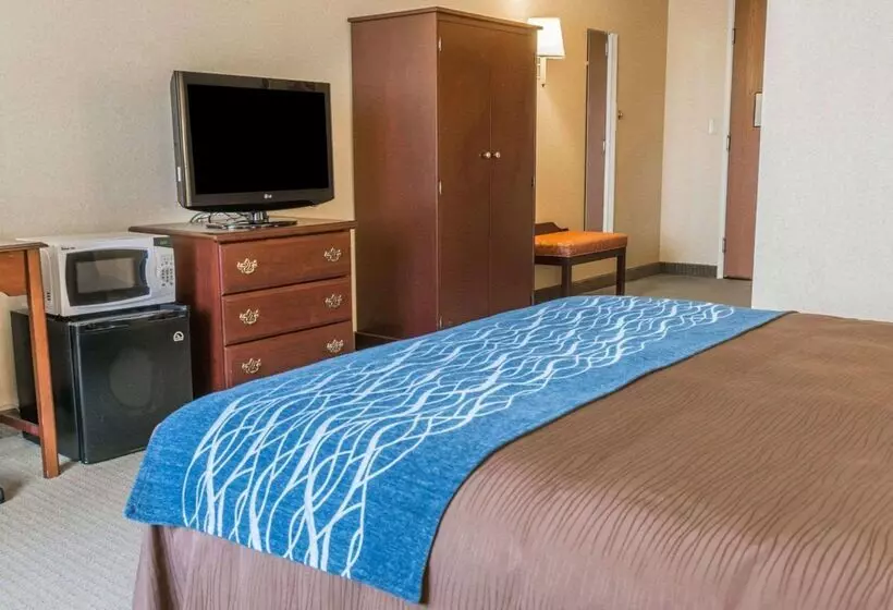 ホテル Rodeway Inn