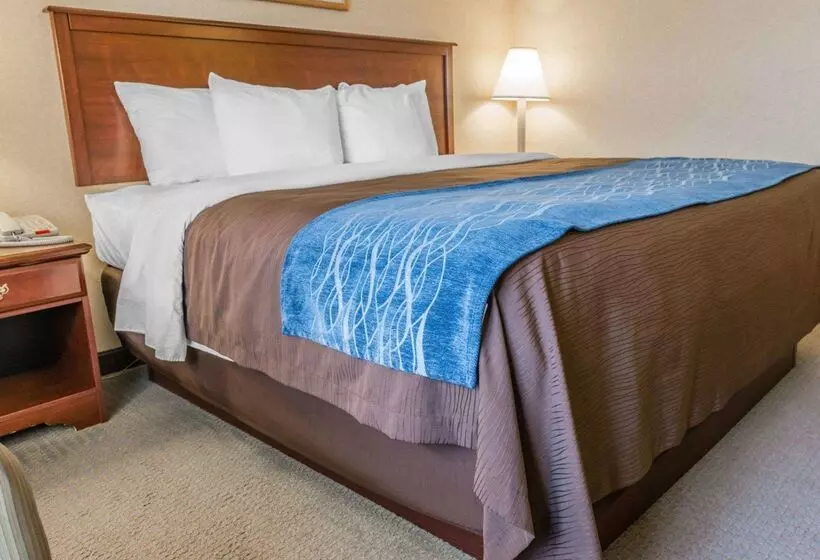 ホテル Rodeway Inn