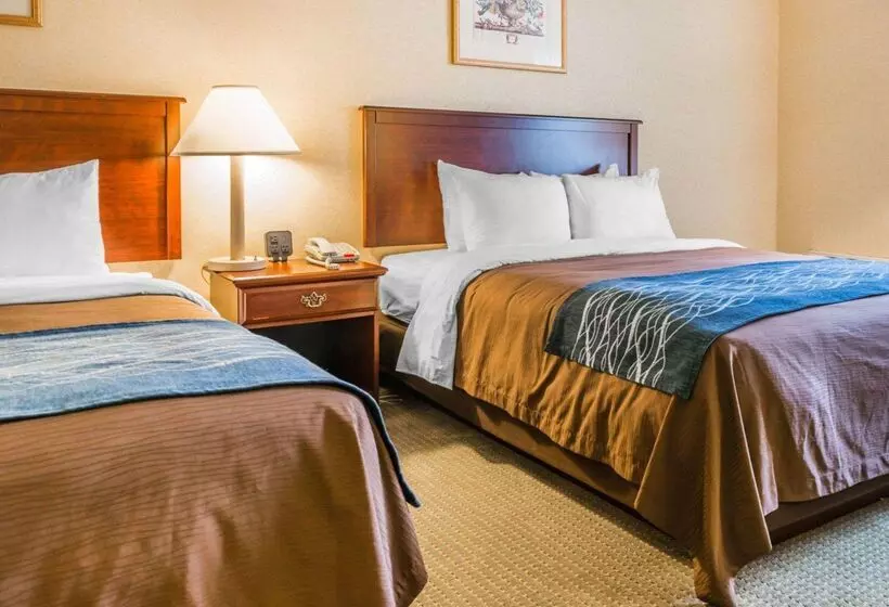 ホテル Rodeway Inn