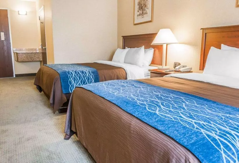 ホテル Rodeway Inn