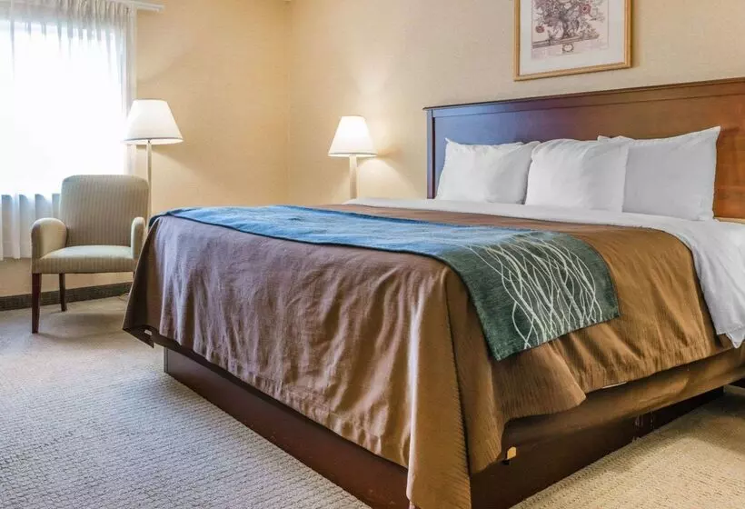 ホテル Rodeway Inn